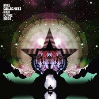 Noel Gallagher's High Flying Birds — Black Star Dancing