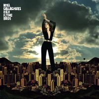 Noel Gallagher's High Flying Birds — Wandering Star