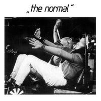Normal — Warm Leatherette