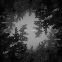 Old Sea Brigade — Love Brought Weight