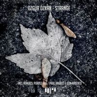 Ozgur Ozkan — Strange