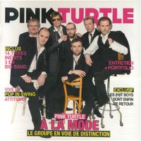 Pink Turtle — Get Up Stand Up