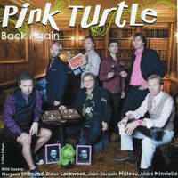Pink Turtle — Hey Jude