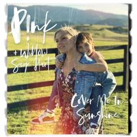 P!nk, Willow Sage Hart — Cover Me In Sunshine