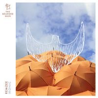 Remzee — Ironic (by Alanis Morissette)