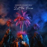 Roman Muller Feat. Matt Wills — Little One