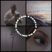 Sean Paul x Tove Lo — Calling On Me