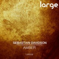 SEBASTIAN DAVIDSON — Someday
