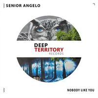 Senior Angelo — Nobody Like You