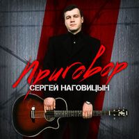 Сергей Наговицын — Приговор