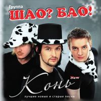 Шао Бао — Дорожная