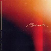 Shawn Mendes/Camila Cabello — Senorita