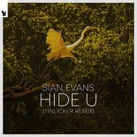 SIAN EVANS (OF KOSHEEN) — HIDE U (TINLICKER RMX)