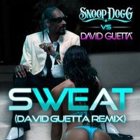 Snoop Dogg / David Guetta — Sweat