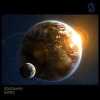 Solewaas — 8 Birds