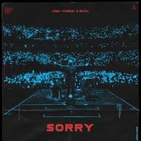 Alan Walker Feat. Isak — Sorry (Magnit edition)