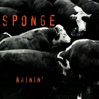 Sponge — Rainin'