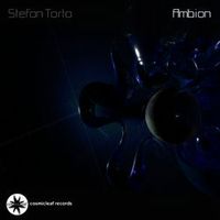 Stefan Torto — Neon