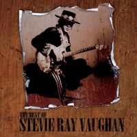 Stevie Ray Vaughan — Ain't Gone 'N' Give Up On Love
