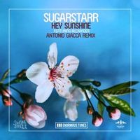 Sugarstarr feat. Alexander feat. Alexander — Hey Sunshine