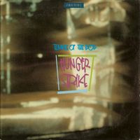 Temple Of The Dog — Hunger Strike