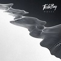 TESLA BOY — Say My Name