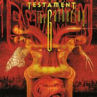 Testament — Down For Life