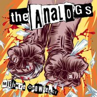 The Analogs — Nie Obchodzi Mnie