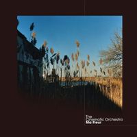 The Cinematic Orchestra — To Build A Home