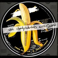 The Dandy Warhols — The Last High