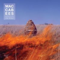 The Maccabees — Pelican