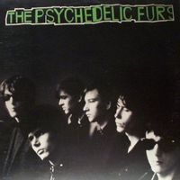 THE PSYCHEDELIC FURS — We Love You