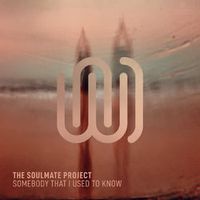 The Soulmate Project — Somebody That I Used to Know (by Gotye)