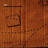 ULRICH SCHNAUSS — Shine