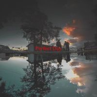 VARIOUS ARTISTS — Perfect Day