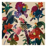 Washed Out — Don't Give Up