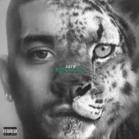 ZAYN — Die For Me