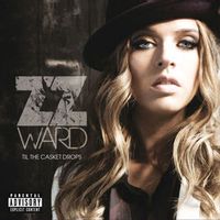 ZZ WARD — 365 Days (Jerry Folk Remix)